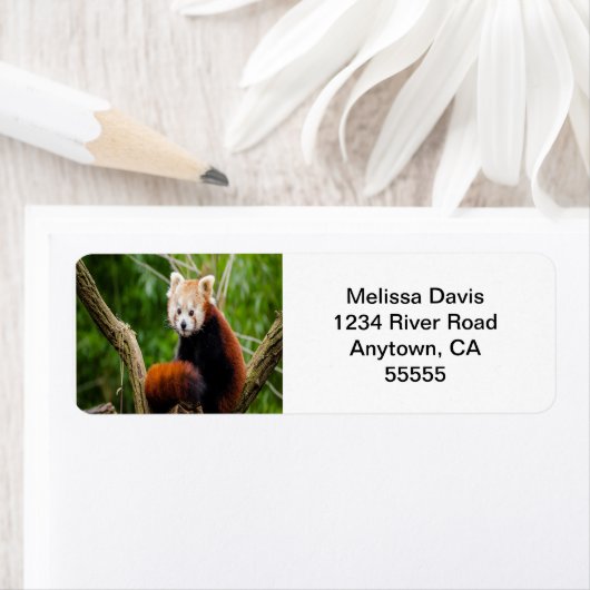 Red Panda Address Labels (Insitu)