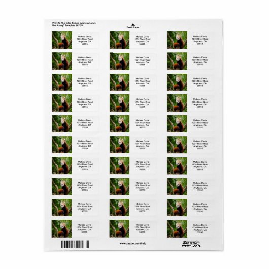 Red Panda Address Labels (Vorne)