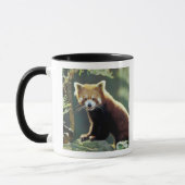 Red Panda Ailurus fulgens) Tasse (Links)