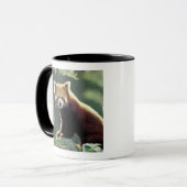 Red Panda Ailurus fulgens) Tasse (Vorderseite Links)
