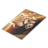 Red Panda Animal Wild Beauty Freedom Wilderness Notizblock (angewinkelt)