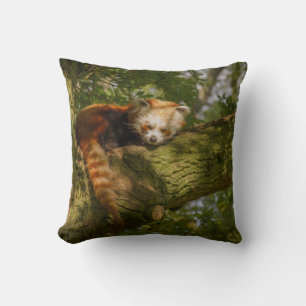 RED PANDA AUF DER BRANCHE VON GRÜNEN BÄUMEN KISSEN