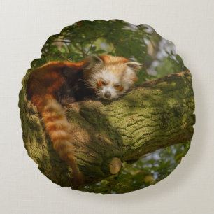 RED PANDA AUF DER BRANCHE VON GRÜNEN BÄUMEN RUNDES KISSEN