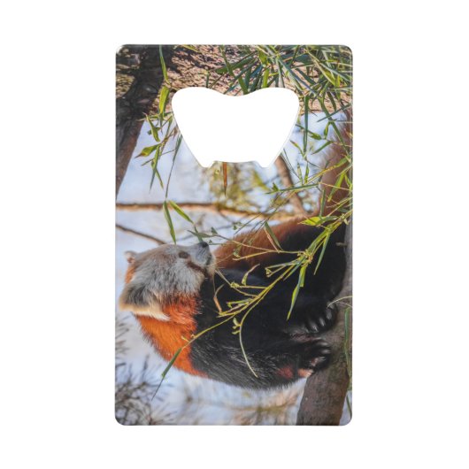 Red Panda Bar Geldbeutel Flaschenöffner (Vorderseite)