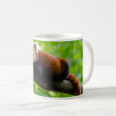 Red Panda Bear Foto Kaffeetasse (VorderseiteRechts)