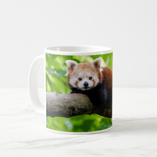 Red Panda Bear Foto Kaffeetasse (Vorderseite Links)