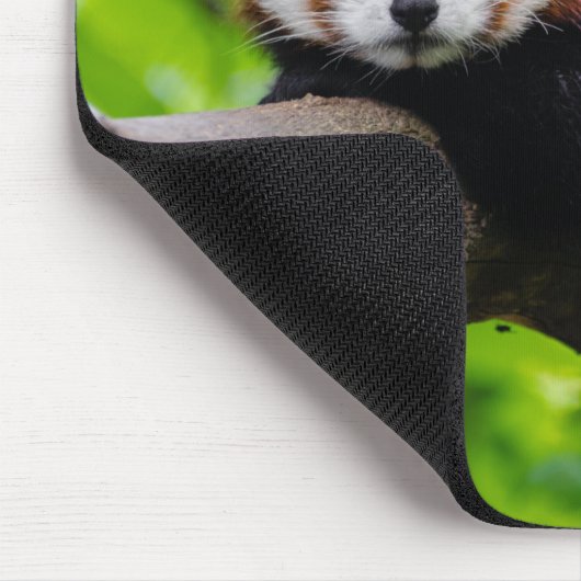 Red Panda Bear Mousepad (Ecke)