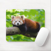 Red Panda Bear Mousepad (Mit Mouse)