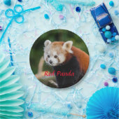 Red Panda Bear Pappteller (Party)