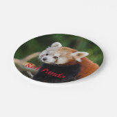 Red Panda Bear Pappteller (Schrägansicht)