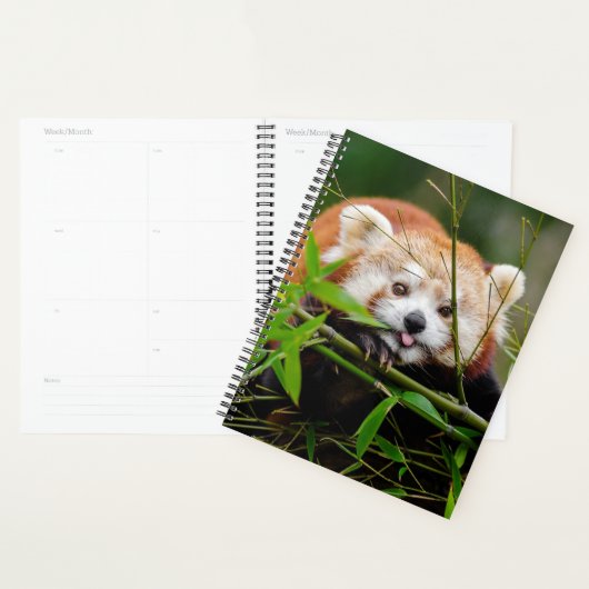 Red Panda Bear Planer (Anzeige)