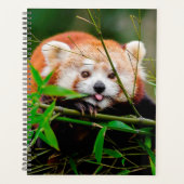Red Panda Bear Planer (Vorderseite)