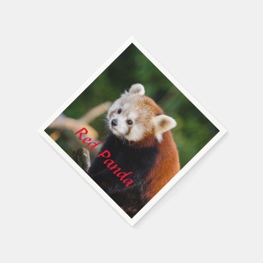 Red Panda Bear Serviette (Ecke)