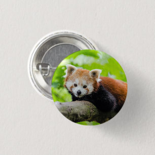 Red Panda Button
