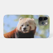 Red Panda Case-Mate iPhone Hülle (Rückseite (Horizontal))