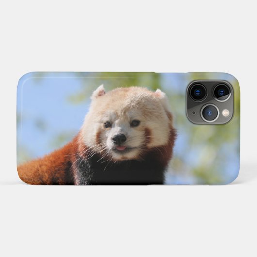 Red Panda Case-Mate iPhone Hülle (Rückseite (Horizontal))