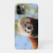 Red Panda Case-Mate iPhone Hülle (Rückseite)