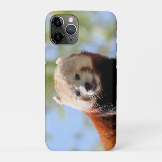 Red Panda Case-Mate iPhone Hülle (Rückseite)