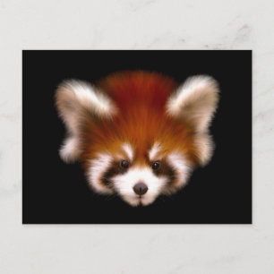 Red Panda Design Postkarte