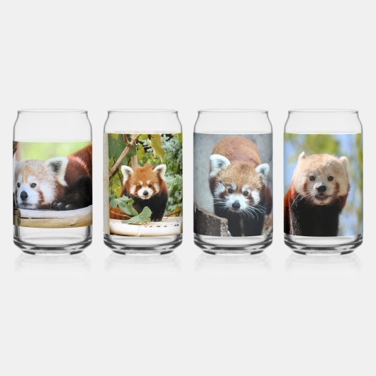 Red Panda Dosenglas (Vorderseite)