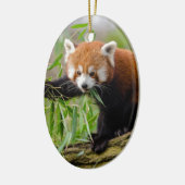 Red Panda Eating Green Leaf Keramikornament (Links)