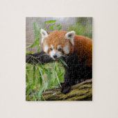 Red Panda Eating Green Leaf Puzzle (Vertikal)