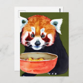 Red Panda Eating Postcard Postkarte (Vorne/Hinten)
