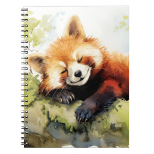 Red Panda Entspannen in Garden Animal Fun glücklic Notizblock