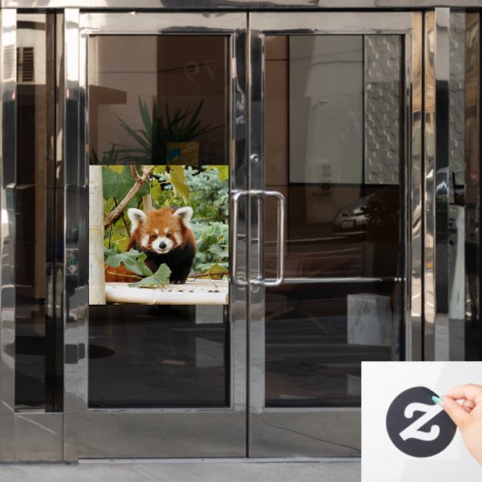 Red Panda Fensteraufkleber (Büro Tür)