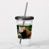 Red Panda Firefox Acryltrinkbecher (Rückseite)