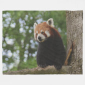 RED PANDA FLEECEDECKE (Vorderseite (Horizontal))