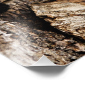 Red Panda Flüchtige Blick-a-Boo Fotodruck (Ecke)