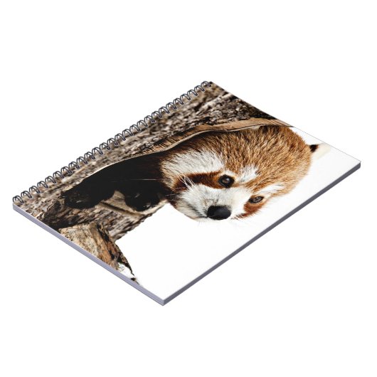 Red Panda Flüchtige Blick-a-Boo Notizblock (Linke Seite)