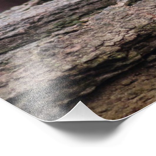 Red Panda Fotodruck (Ecke)