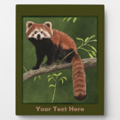 Red Panda Fotoplatte (Vorderseite)