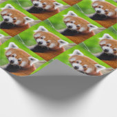 Red Panda Geschenkpapier (Ecke)