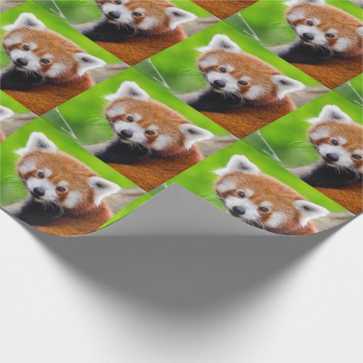 Red Panda Geschenkpapier (Ecke)