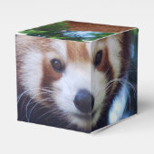 Red Panda Geschenkschachtel (Vorderseite)