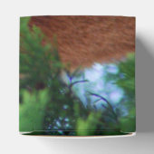 Red Panda Geschenkschachtel (Oben)