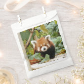 Red Panda Geschenktütchen (Ausgeschnitten)