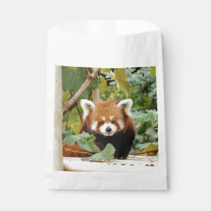 Red Panda Geschenktütchen