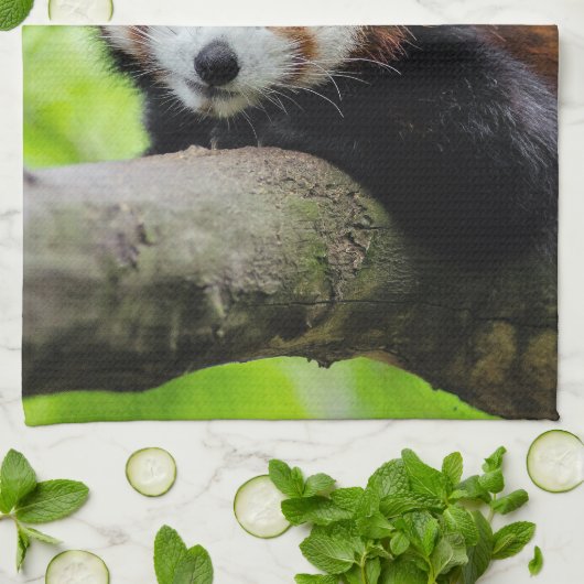 Red Panda Geschirrtuch (Gefaltet)