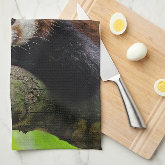 Red Panda Geschirrtuch (Viertel Falte)