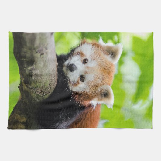 Red Panda Geschirrtuch (Horizontal)