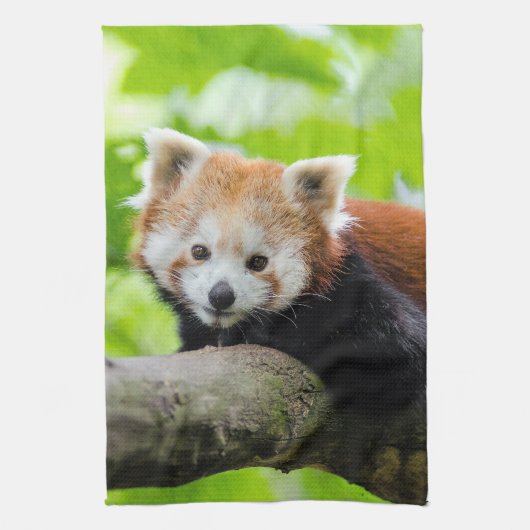 Red Panda Geschirrtuch (Vertikal)