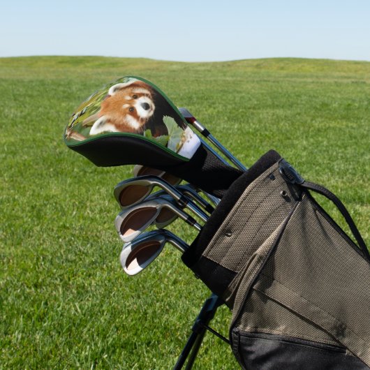 Red Panda Golf Headcover (In SItu)