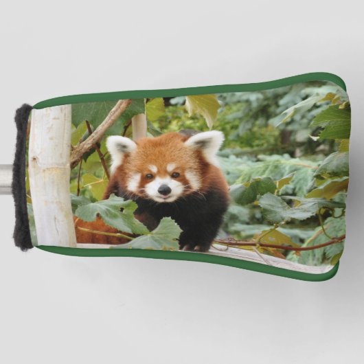 Red Panda Golf Headcover (Vorderseite)