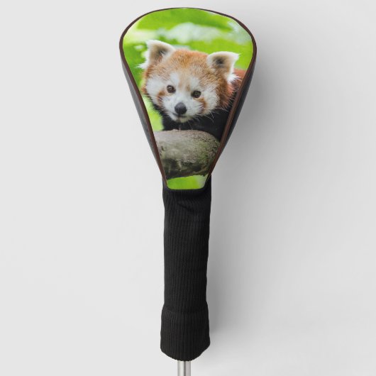 Red Panda Golf Headcover (Vorderseite)