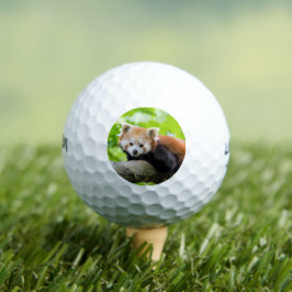 Red Panda Golfball