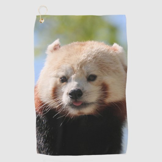 Red Panda Golfhandtuch (Vorderseite)